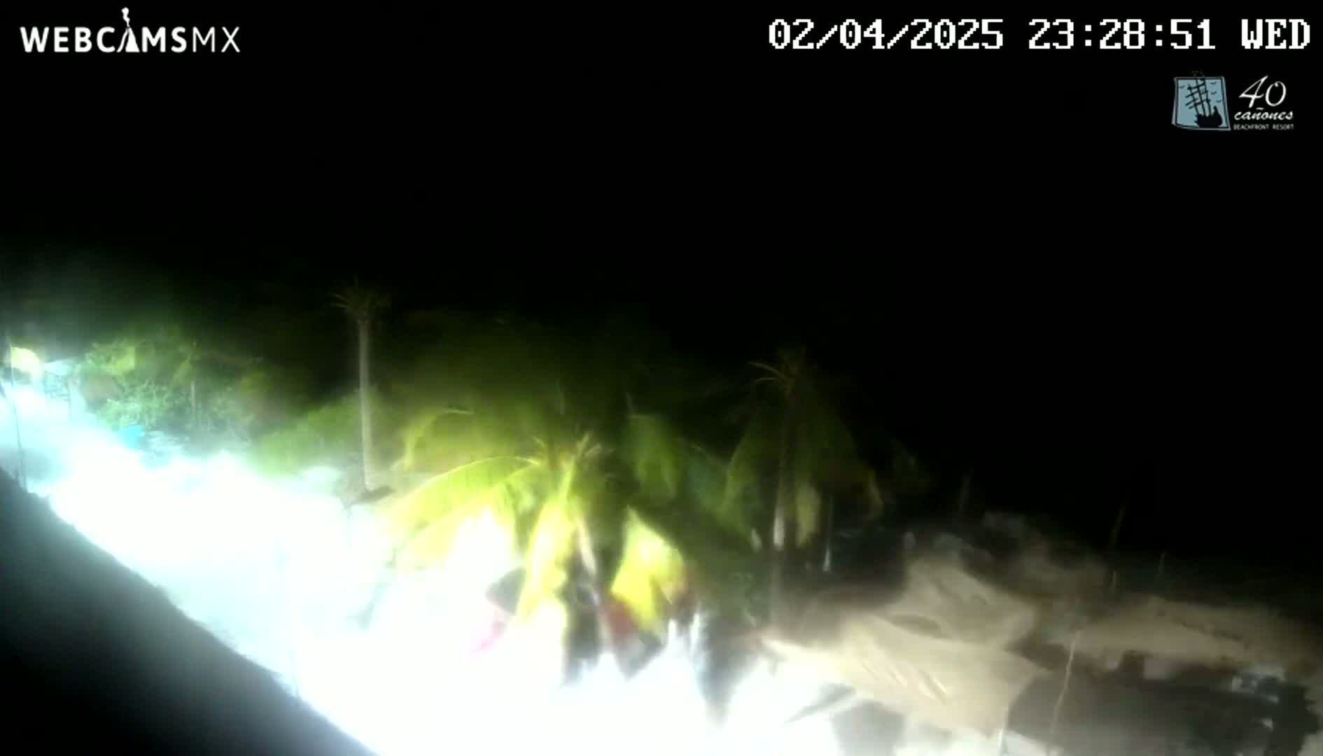 At night, under dark, windy conditions, palm trees are illuminated by a bright light source near a sandy area.