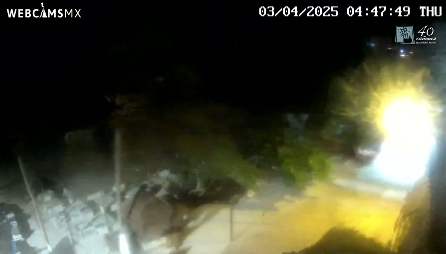 A night-time, low-light view shows a brightly lit area near some vegetation and rubble, possibly a construction site or demolition.