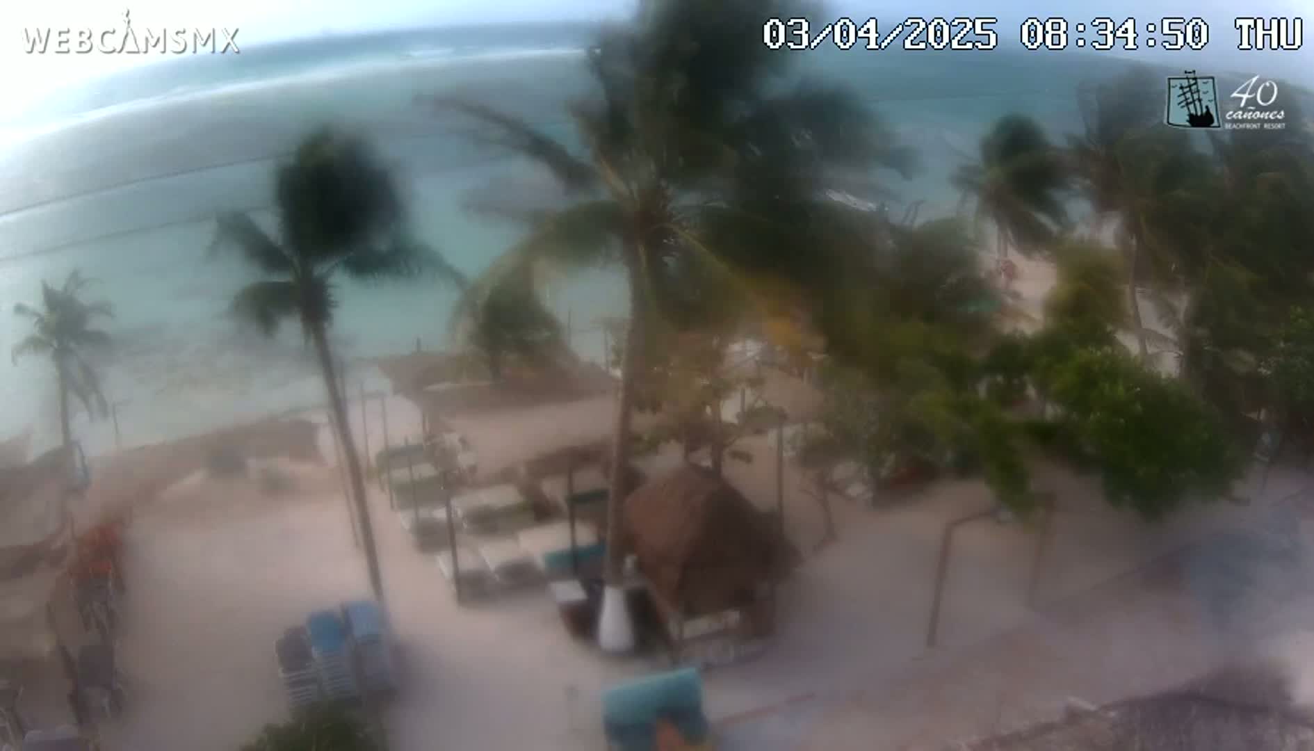 A beachside resort with palm trees is shown during a windy, hazy day, with the ocean visible in the background.