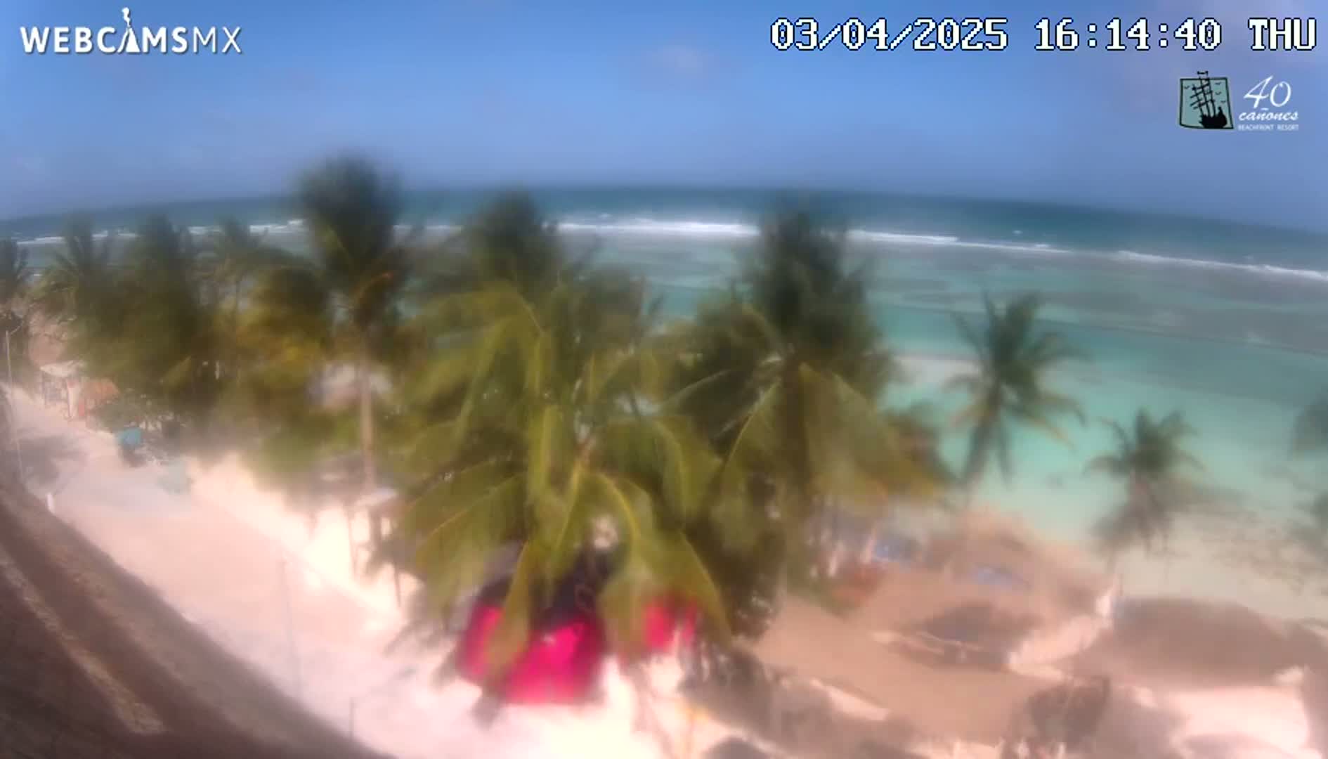 A high-angle, blurry view shows a beach with palm trees under a clear, sunny sky and a calm, turquoise ocean.