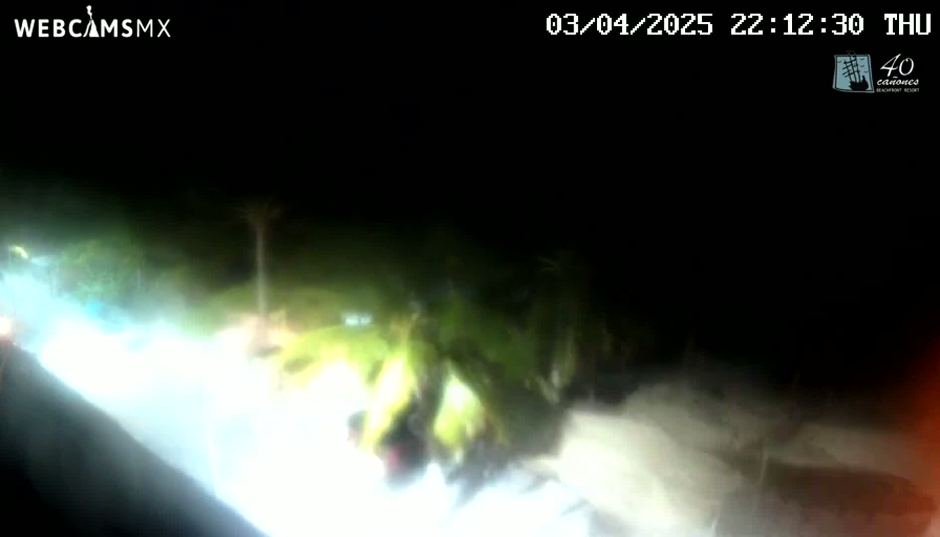 A nighttime, low-light view shows blurry vegetation and a brightly lit area near a beach under a dark sky.