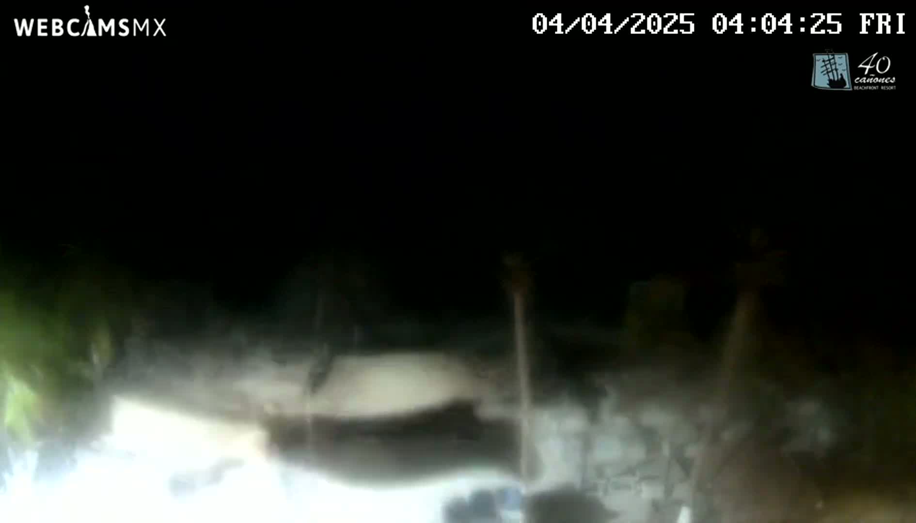 A blurry, nighttime image shows a dimly lit outdoor scene with vegetation and a stone structure, partially obscured by darkness and possibly fog or mist.