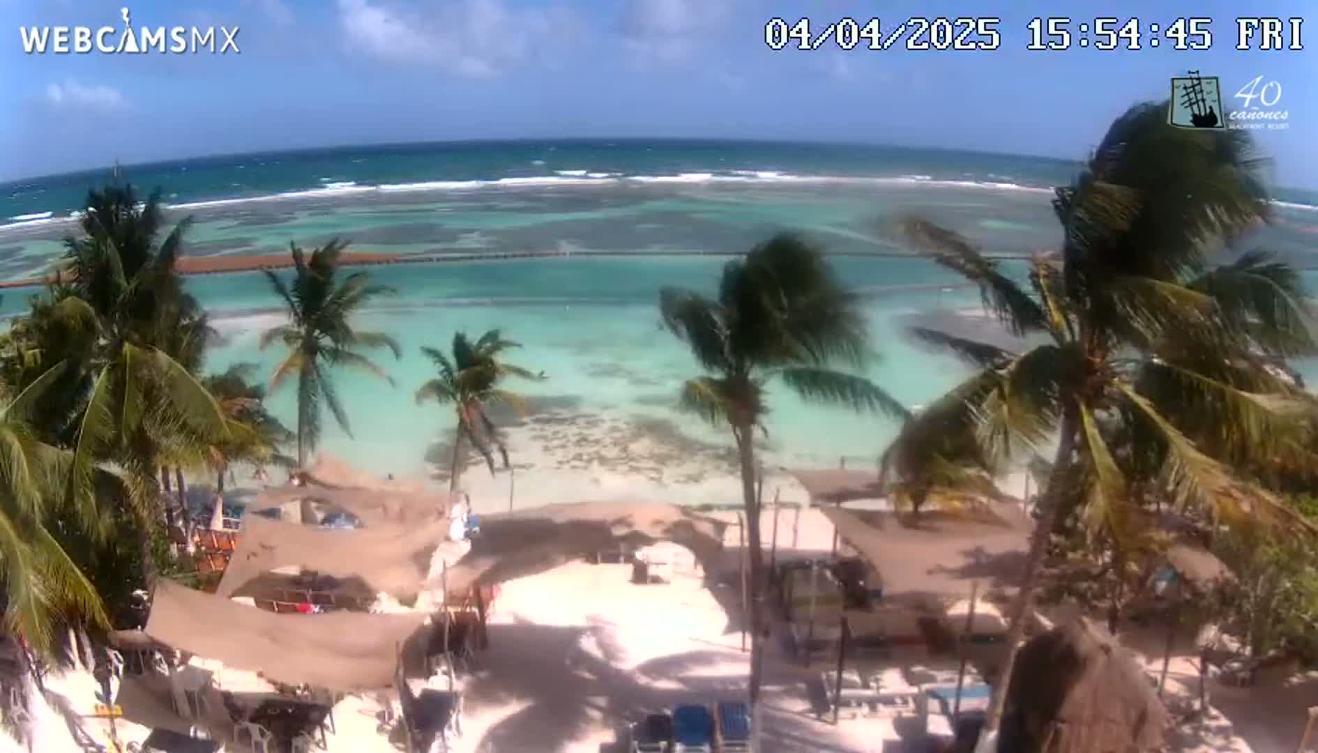 A beach scene with palm trees and light-colored sand shows a calm ocean under a partly cloudy sky.