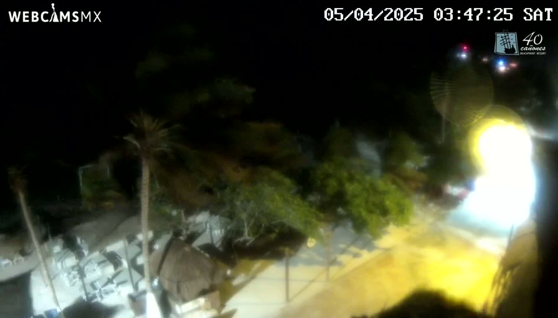 A nighttime, outdoor scene shows several boats near palm trees and bushes, with a bright light illuminating part of the street.