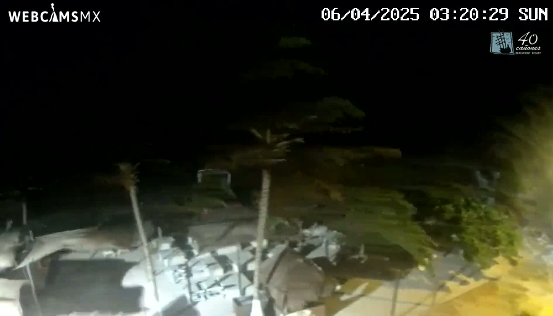 A nighttime, low-light outdoor scene shows the tops of several palm trees and what appears to be debris or damaged structures in the foreground.