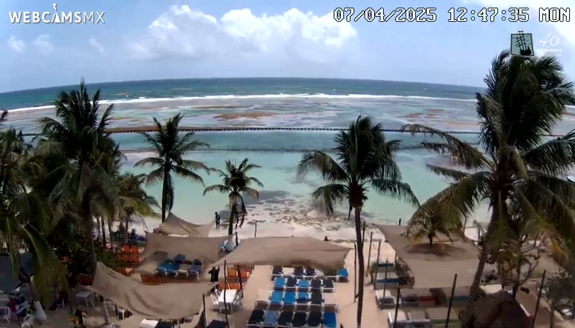 A beach scene with calm, light-blue water, palm trees, beach umbrellas, lounge chairs, and a partly cloudy sky.