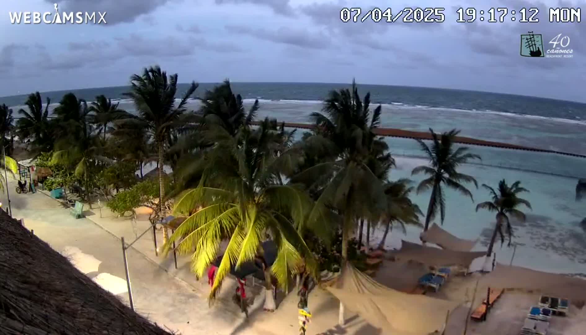 A beachside view shows palm trees lining a sandy path leading to a calm ocean under a cloudy sky.