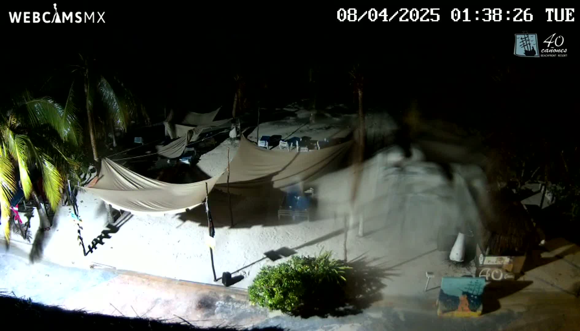 A nighttime beach scene shows several tan canopies, lounge chairs, and palm trees under a dark sky with windy conditions.