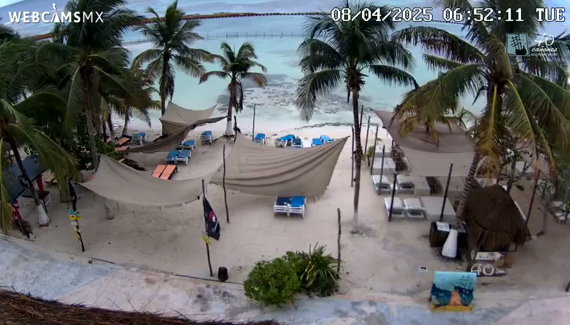 An overhead view shows a sandy beach with palm trees, beach umbrellas, and lounge chairs, overlooking calm, shallow turquoise water under a partly cloudy sky.