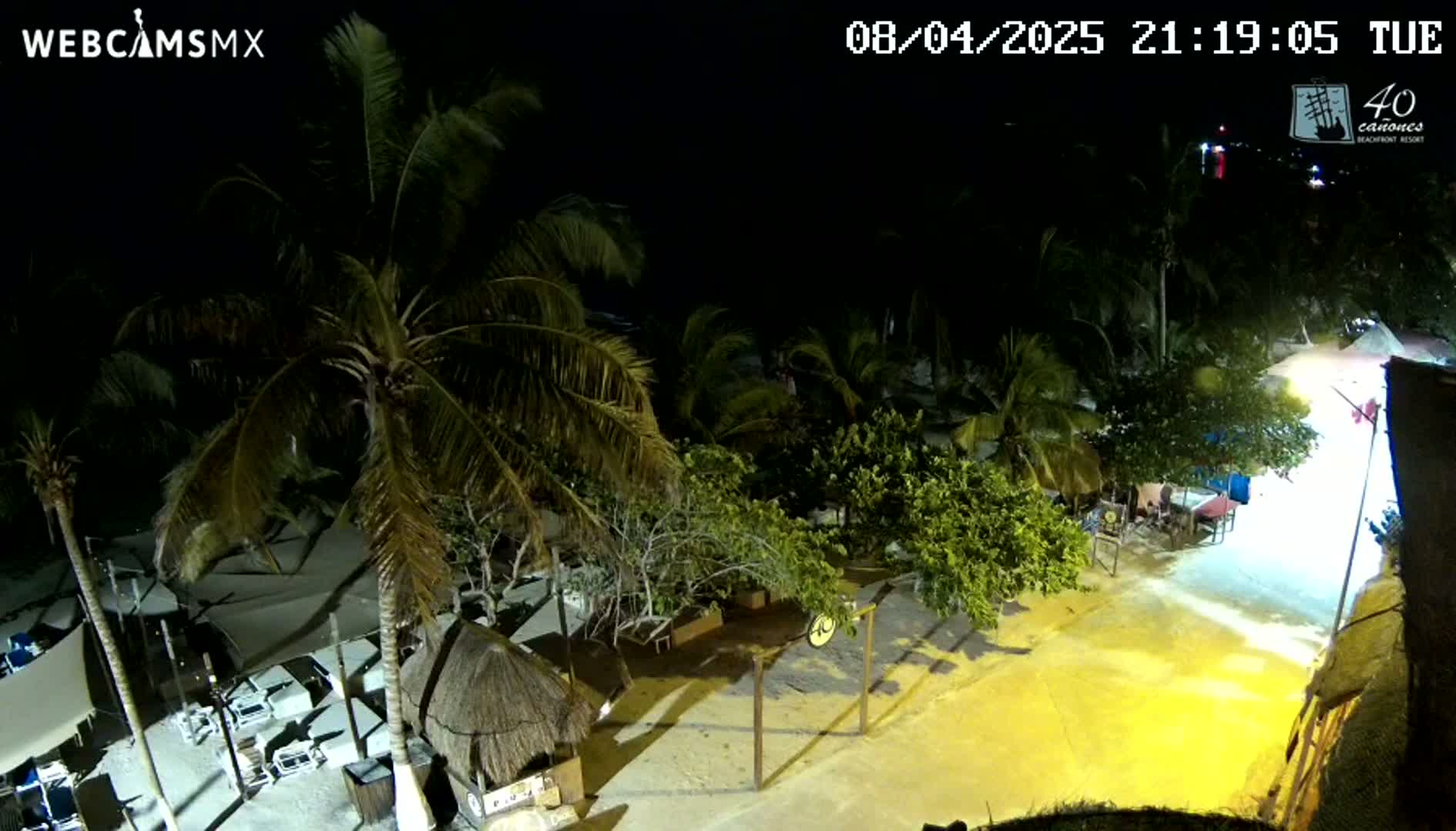 A nighttime aerial view shows a beachside area with palm trees, outdoor seating, and a sandy path, illuminated by artificial light.