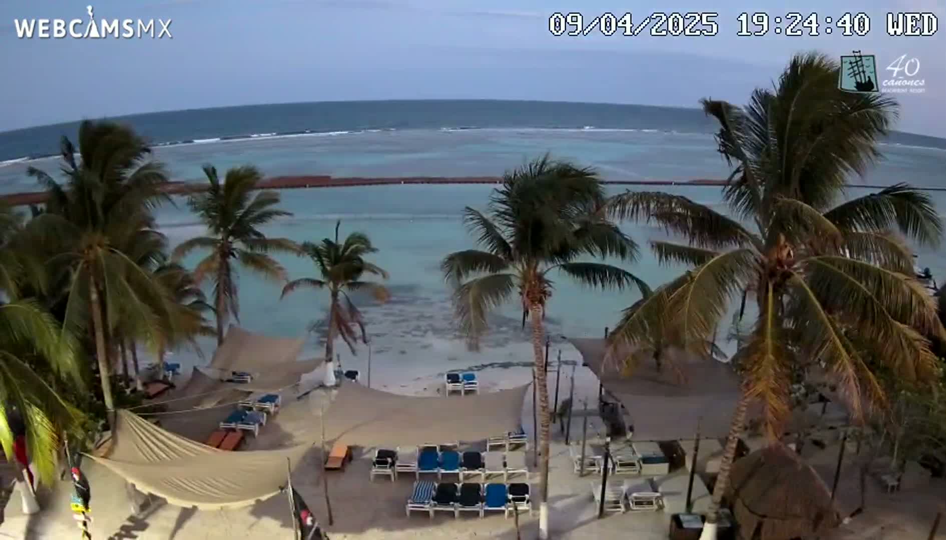 A beachside resort with palm trees under a partly cloudy sky shows calm ocean water in the distance.