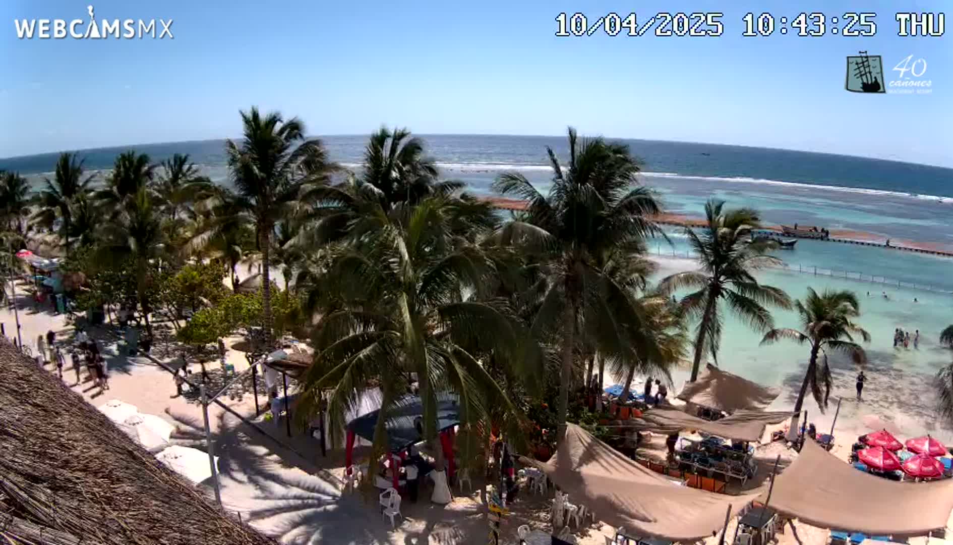 A beach scene on a sunny day shows a sandy shoreline lined with palm trees, beach umbrellas, and people, with calm turquoise ocean water visible in the background.