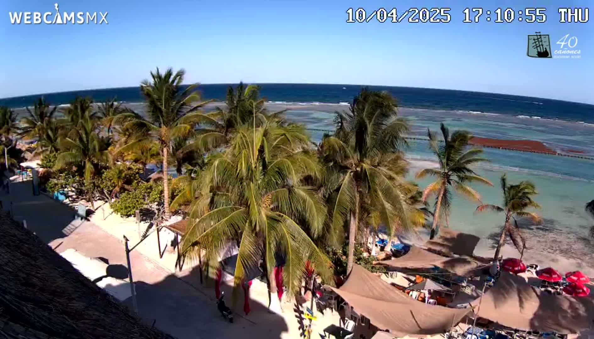 A sunny beach scene shows a row of palm trees lining a sandy shore with turquoise water, beach umbrellas, and some beachside structures under a clear blue sky.