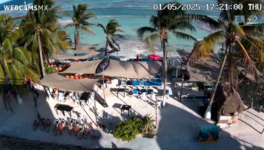 An aerial view of a beachside bar with palm trees, beach chairs, umbrellas, and bicycles parked on a sandy area, under sunny conditions.