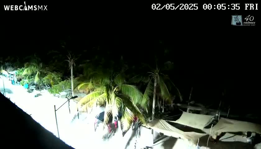 A nighttime aerial view shows a palm tree-lined beachfront area with several structures illuminated by artificial light.