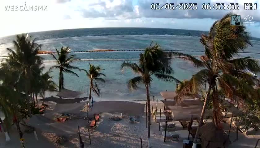 A beach scene with palm trees, beach furniture, and a calm ocean under a partly cloudy sky.