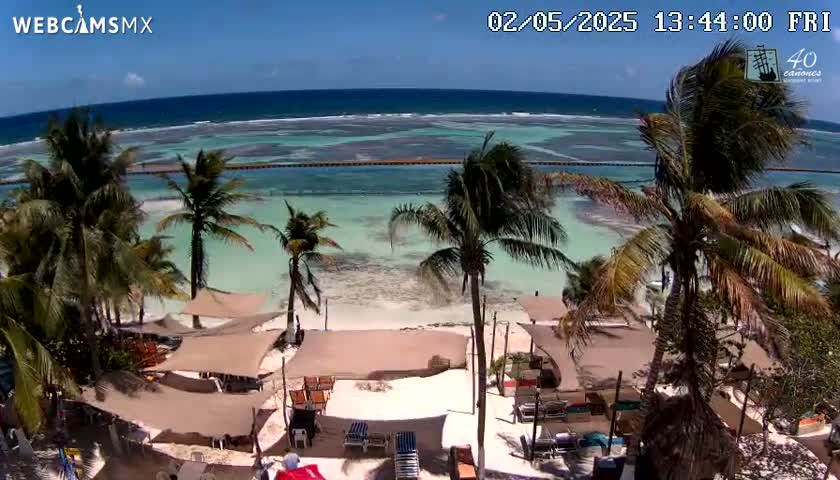 A beach scene on a sunny day shows a stretch of calm, shallow, turquoise water, a sandy beach with palm trees and beach umbrellas, and a resort area with lounge chairs.