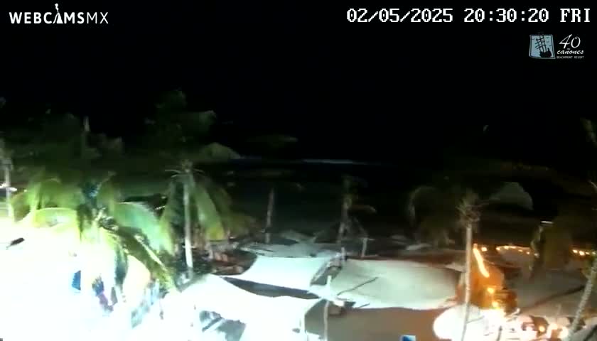 A nighttime beach scene shows palm trees surrounding a dimly lit area with white structures near the water under a dark sky.