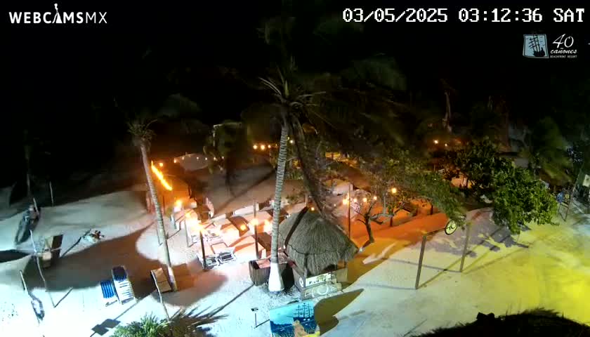 A nighttime aerial view of a beachside bar and restaurant area with palm trees,  illuminated tables, and a thatched-roof structure.