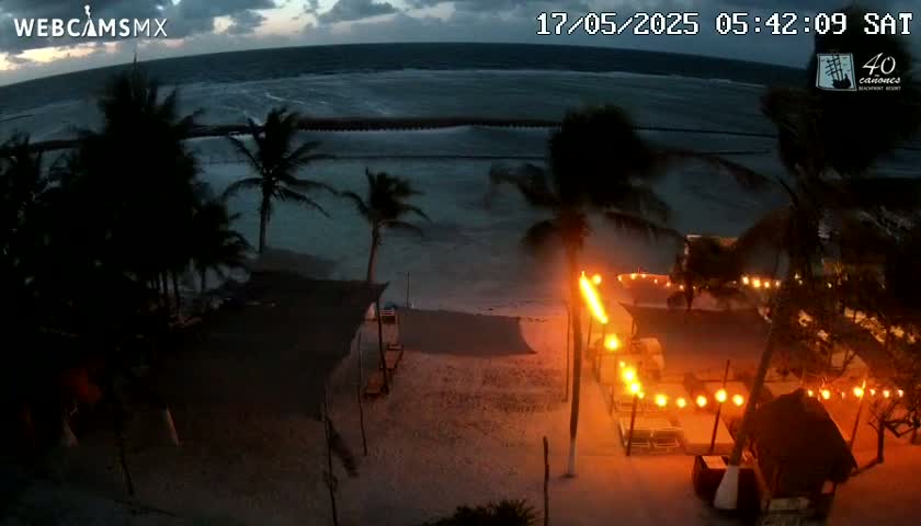 A beach at night with palm trees, string lights illuminating a beachside area, and a dark, somewhat choppy ocean under a cloudy sky.