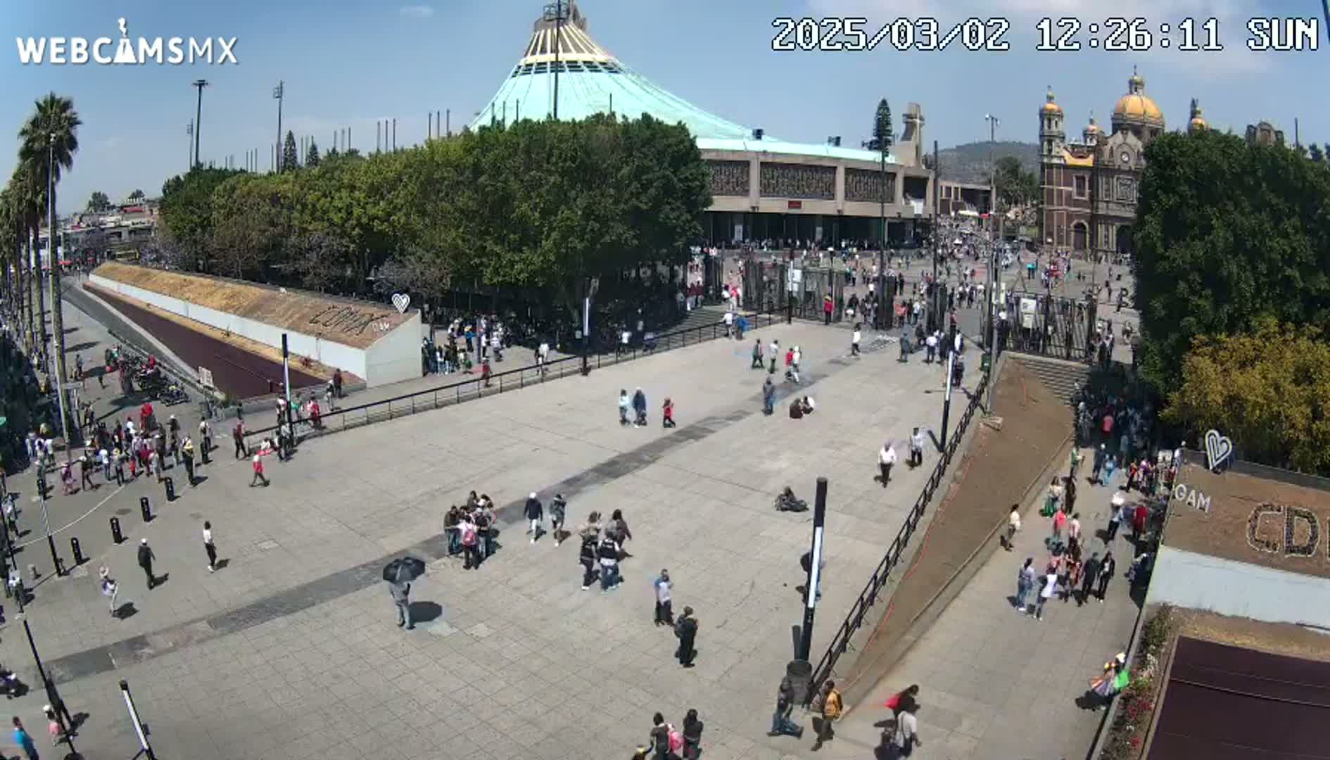 A large plaza with many people, surrounded by buildings including a large basilica, under a sunny sky.