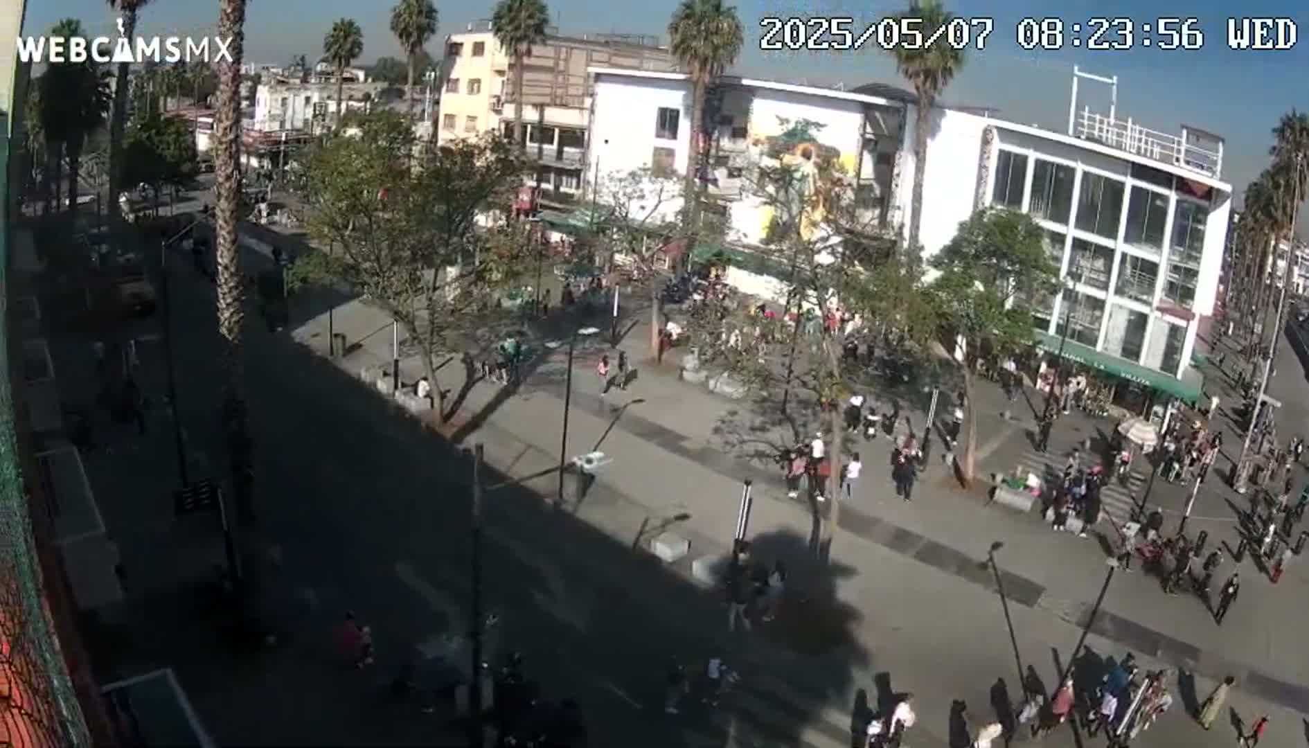 A sunny day reveals a bustling city square, filled with people walking and congregating near buildings and palm trees.