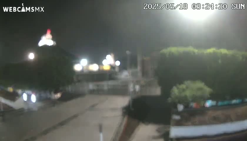 A nighttime view of a dimly lit street and a building, partially obscured by foliage and haze.