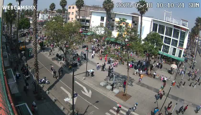 A sunny city street scene shows a large crowd of people walking and gathering around a plaza with buildings, trees, and palm trees, and vehicles.