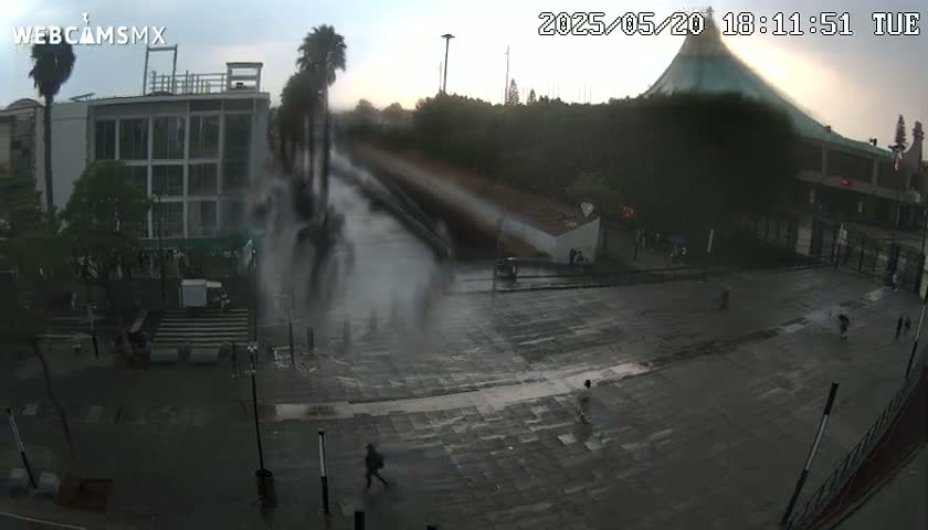 A rain-swept city square is seen with a few pedestrians and palm trees near a building, under a mostly cloudy sky.