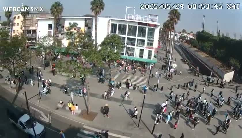 A sunny day shows a bustling town square with many people walking around near buildings and palm trees.