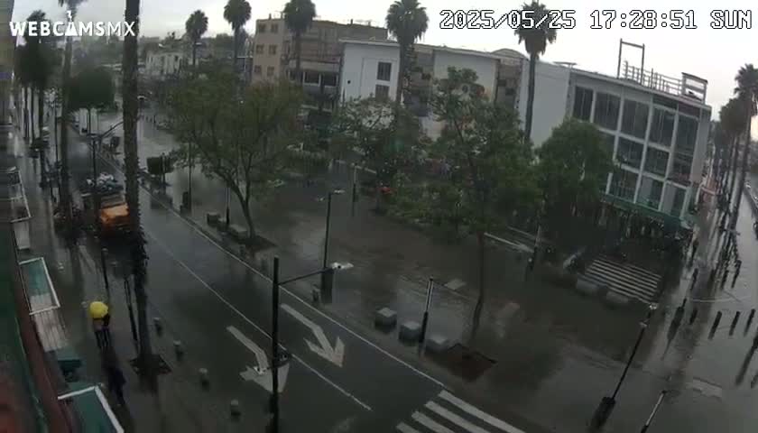 Basílica de Santa Maria de Guadalupe, Basilica of Guadalupe Live Cam - Ciudad de Mexico, CDMX, Mexico