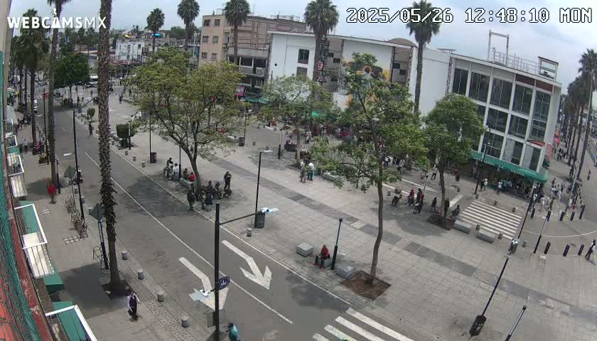 Basílica de Santa Maria de Guadalupe, Basilica of Guadalupe Live Cam - Ciudad de Mexico, CDMX, Mexico