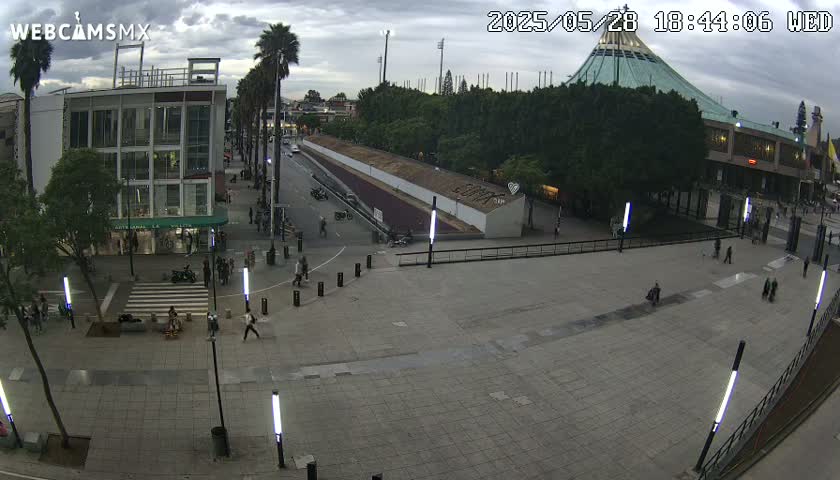 A city plaza with pedestrians and palm trees under an overcast sky, near a large building.