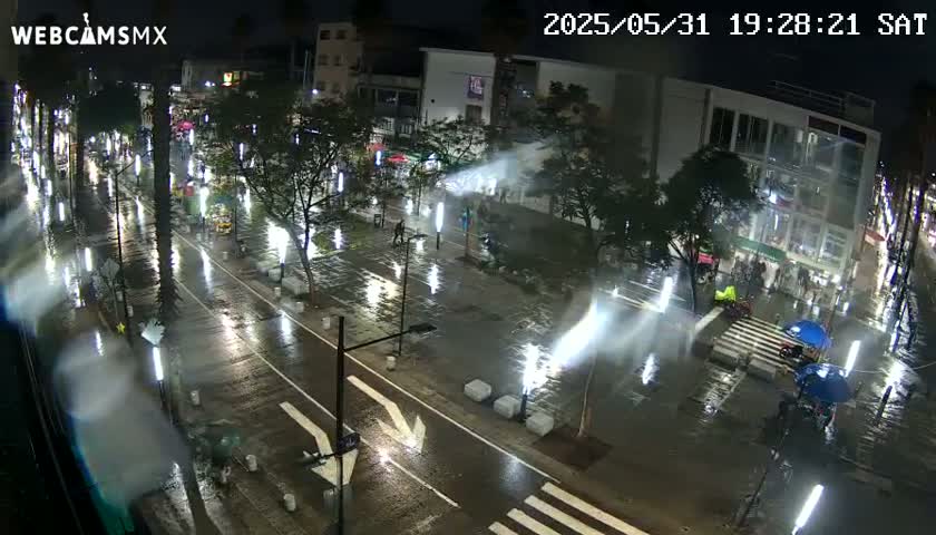 Basílica de Santa Maria de Guadalupe, Basilica of Guadalupe Live Cam - Ciudad de Mexico, CDMX, Mexico