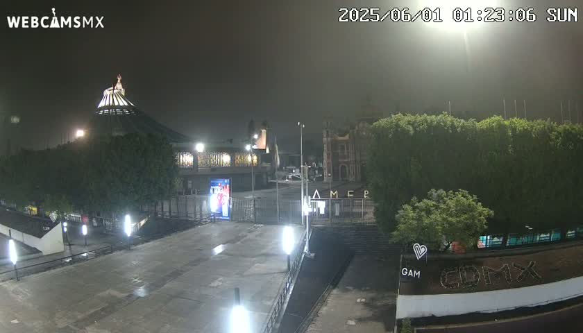 A nighttime, foggy view of a plaza with a large building, illuminated by lights, and surrounded by trees.