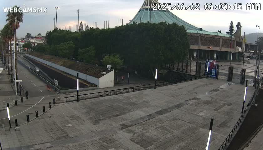 A wide, paved plaza stretches out before a large, modern basilica partially obscured by a wall of trees, under an overcast sky.