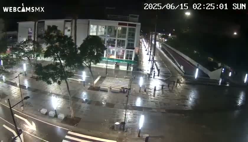 A rain-slicked plaza at night, illuminated by streetlights, features a modern building and several trees.
