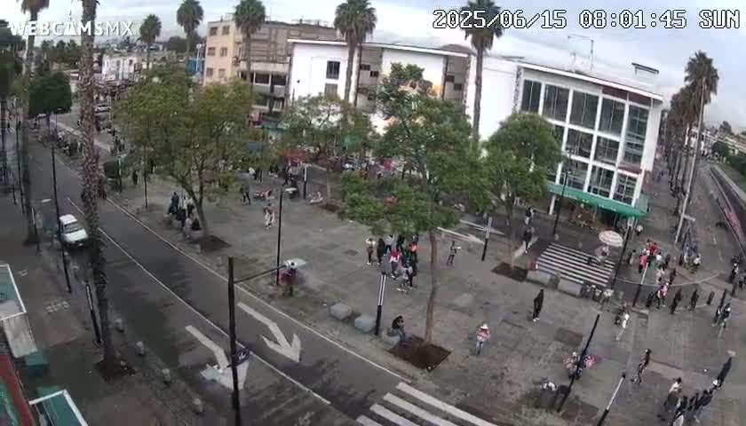 A city square with numerous pedestrians and trees under a partly cloudy sky.