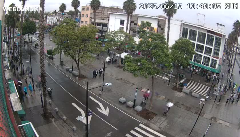Basílica de Santa Maria de Guadalupe, Basilica of Guadalupe Live Cam - Ciudad de Mexico, CDMX, Mexico