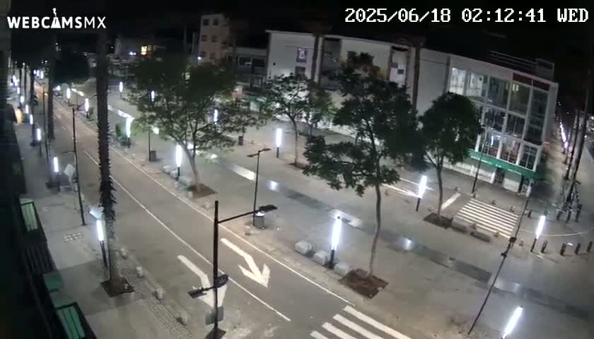 An empty, well-lit street at night, lined with palm trees and streetlights, shows a pedestrian crossing and the arrow markings on the road.