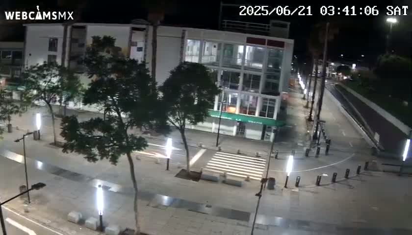 A nighttime, city street scene shows a multi-story building, trees, streetlights, and a crosswalk.