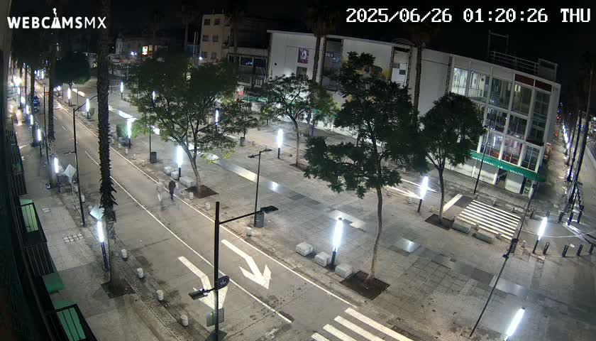 A nighttime, overhead view of a paved pedestrian area with trees, lights, and a road running through it.
