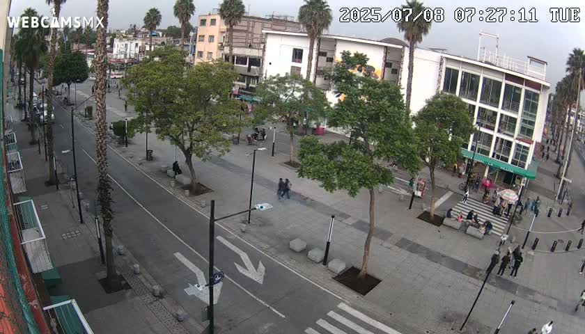 Basílica de Santa Maria de Guadalupe, Basilica of Guadalupe Live Cam - Ciudad de Mexico, CDMX, Mexico