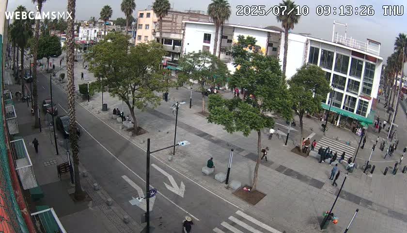 Basílica de Santa Maria de Guadalupe, Basilica of Guadalupe Live Cam - Ciudad de Mexico, CDMX, Mexico