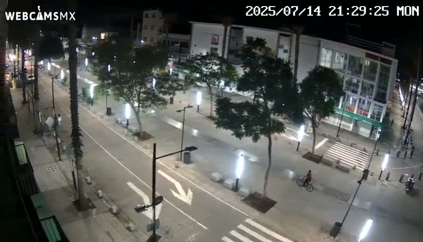 Basílica de Santa Maria de Guadalupe, Basilica of Guadalupe Live Cam - Ciudad de Mexico, CDMX, Mexico
