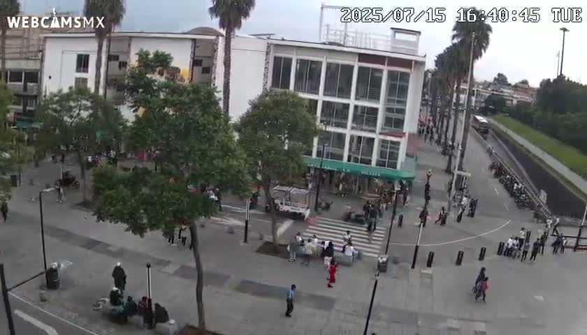 Basílica de Santa Maria de Guadalupe, Basilica of Guadalupe Live Cam - Ciudad de Mexico, CDMX, Mexico