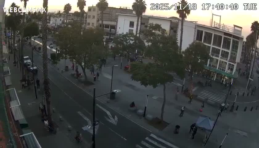 Basílica de Santa Maria de Guadalupe, Basilica of Guadalupe Live Cam - Ciudad de Mexico, CDMX, Mexico