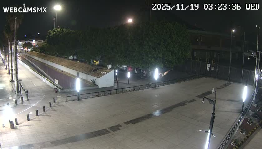 The image captures an illuminated urban plaza and street at night, featuring a long covered structure, numerous trees, and reflections on the damp ground under a clear sky.