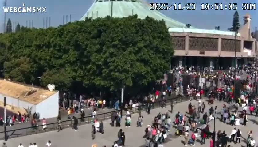 Basílica de Santa Maria de Guadalupe, Basilica of Guadalupe Live Cam - Ciudad de Mexico, CDMX, Mexico