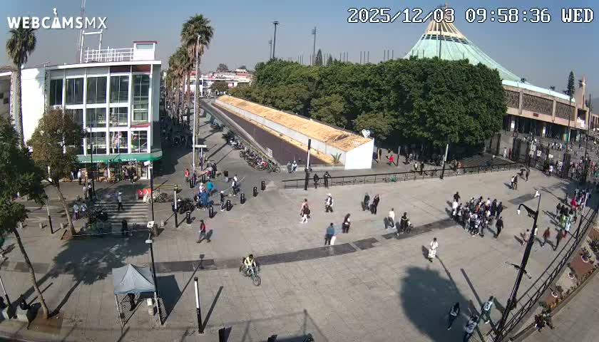 Basílica de Santa Maria de Guadalupe, Basilica of Guadalupe Live Cam - Ciudad de Mexico, CDMX, Mexico